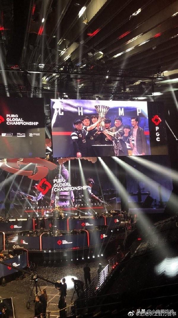 专业的协调 专业的协调